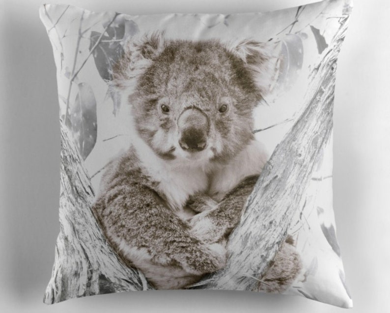 Koala Cushion Cover Australian Wildlife Animals Square - Etsy Australia