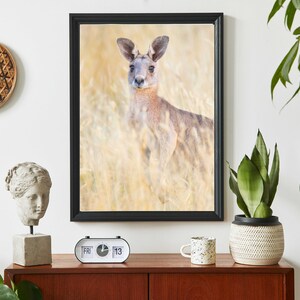 Kangaroo Print - Australian Wildlife Photography - Nature Wall Art - Kangaroo Photo Print - Stretched Canvas - Poster - Kangaroo Gift