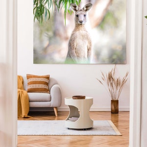 Kangaroo Print- Australian Wildlife Photography - Portrait and Landscape Nature Wall Art