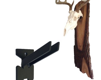 European Skull Mount Hanger