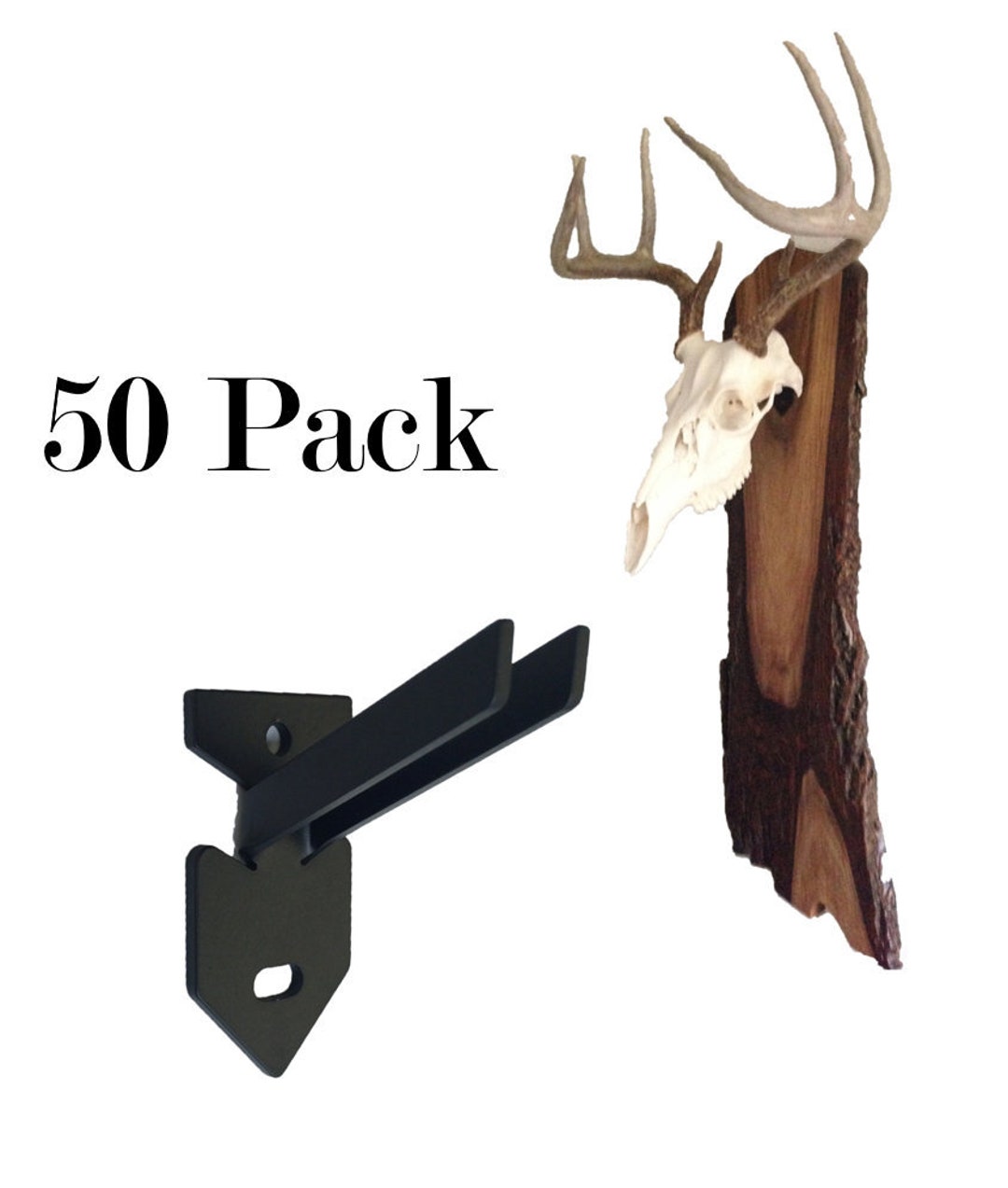 European Skull Mount Hanger Taxidermist Special 50 Pack Etsy