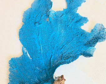 Frame Yourself Custom Sea Fan -  1 Custom Color 25-30” Sea Fan Only