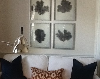 Set of 4 Framed Sea Fans - Custom Color Request