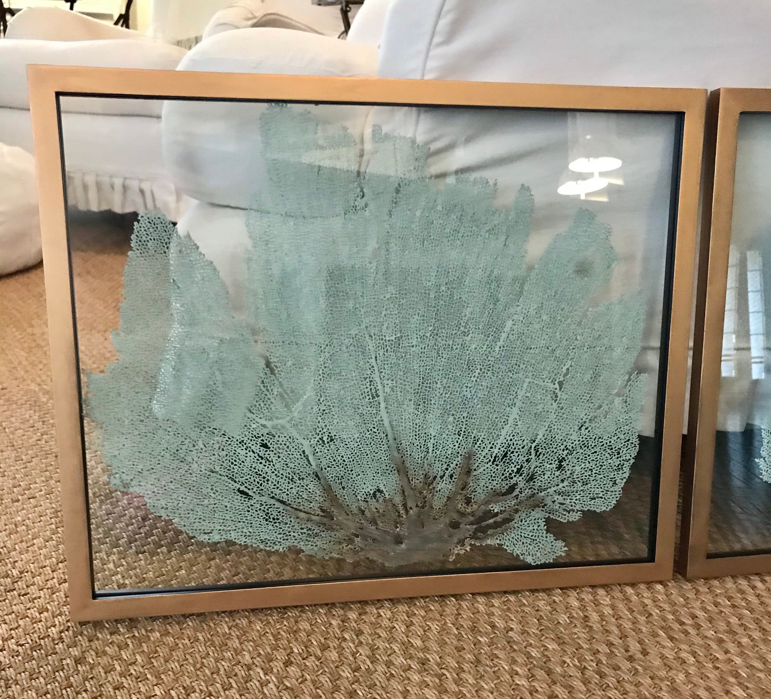 Pair 2 Framed Sea Fan Art Wythe Blue Green Etsy