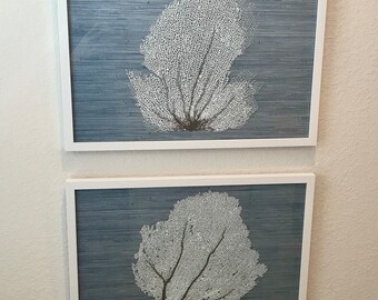 READY TO SHIP! 2 White Sea Fans framed with Blue Grasscloth background 14x20