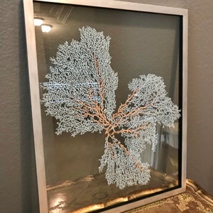1 Framed Sea Fan - Spa Blue with Custom Color Frame 16x20”