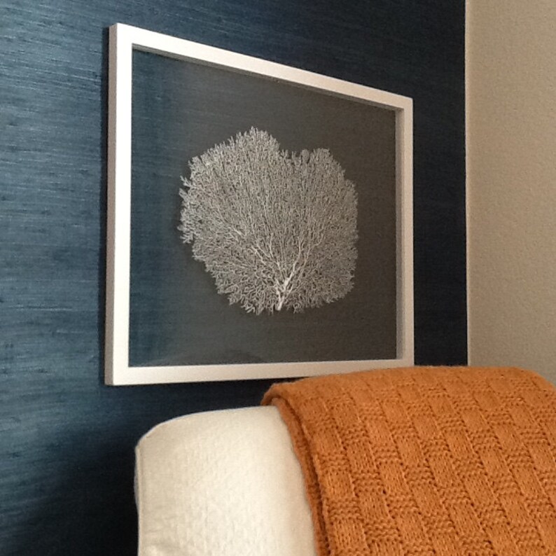Framed Sea Fan Art Metallic Silver Etsy