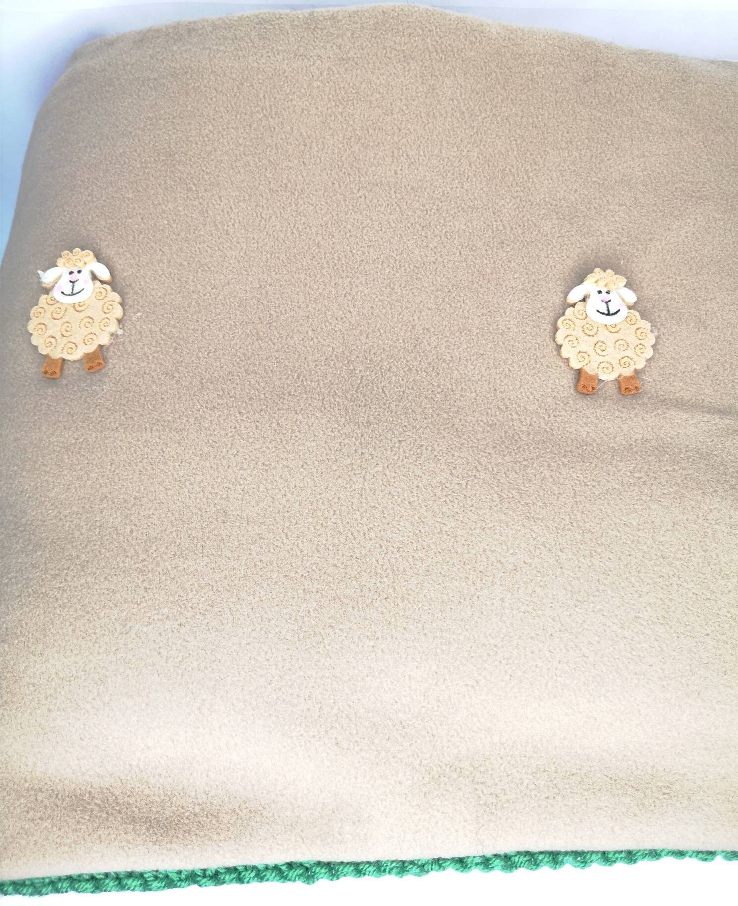 Couverture Compter Les Moutons