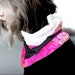 see more listings in the Snood/Col/Foulard section