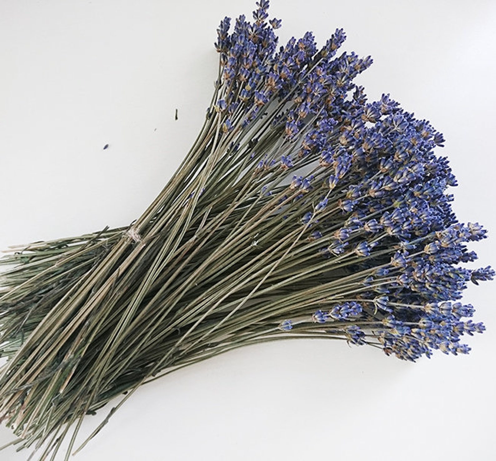 Dry lavender bunch 320 stems Lavender Wedding Bouquet Dried Etsy