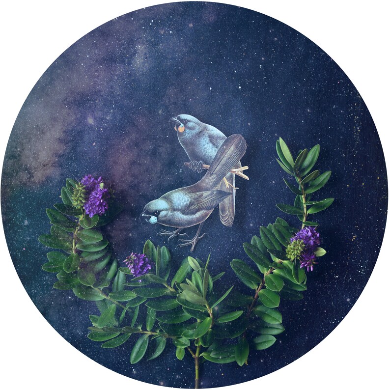 NZ Birds & Flora 2024 A4 Calendar Etsy