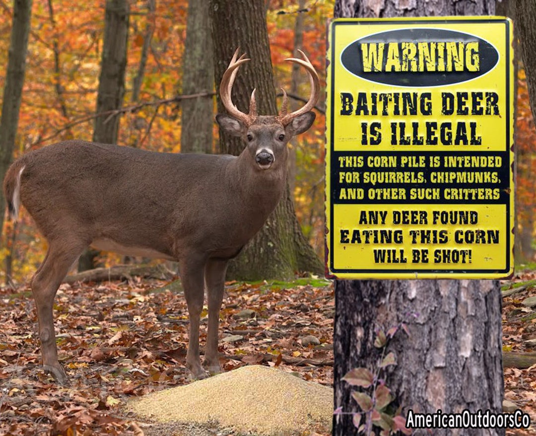 Warning Baiting Deer is Illegal Humorous Tin Sign New Etsy