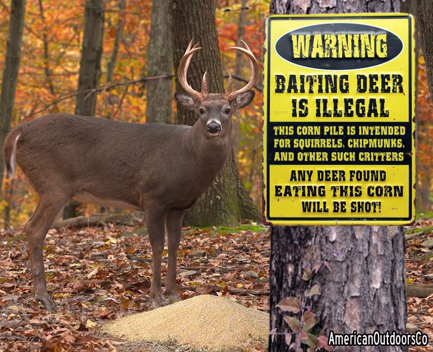 Warning Baiting Deer is Illegal Humorous Tin Sign New Etsy Canada