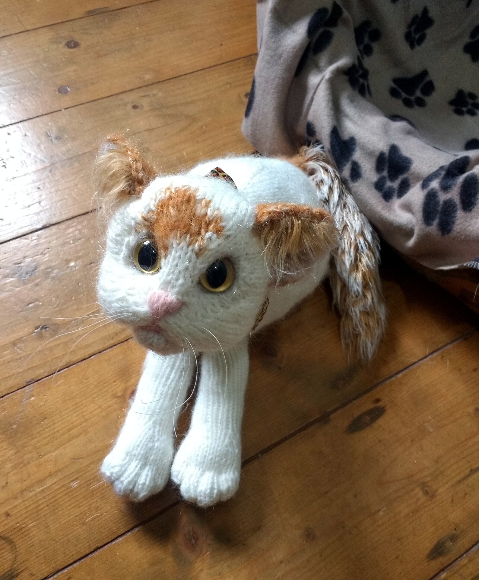 Kitten knitted toy Turkish Van Kitten Knitted Cat Toy Etsy