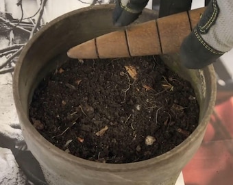 Handmade Wooden Dibble