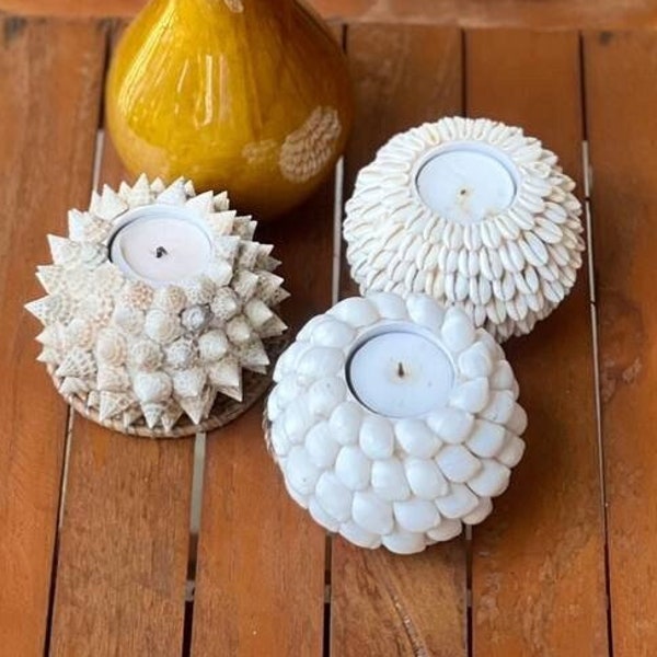 Shell Candle Holder Etsy