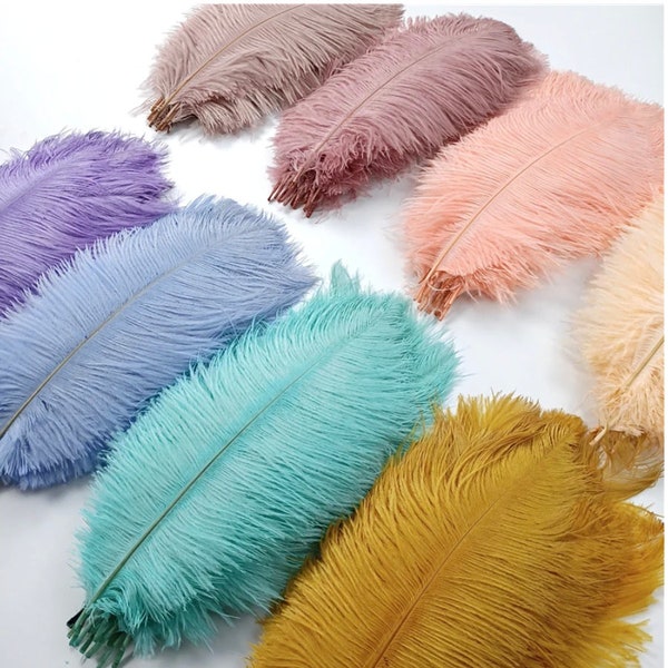 Ostrich Feathers Etsy