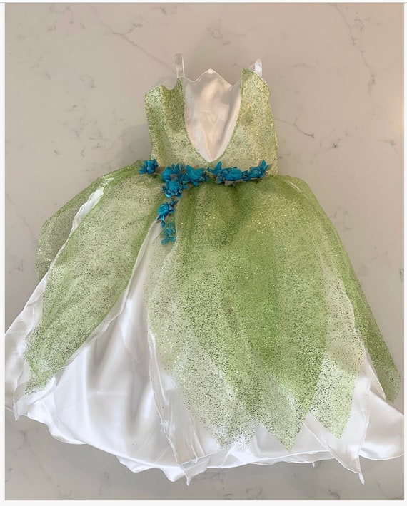 princess tiana costume 2t