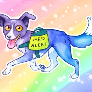 May include: A watercolour illustration of a blue and white dog wearing a yellow vest that says "MED ALERT". The dog is running and has its tongue sticking out. The background is a rainbow with white dots.