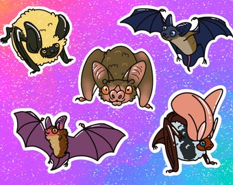 Bats Vinyl Stickers/Decals: Canyon Bat, Mexican Long-tailed Bat, Little Brown Bat, Spotted Bat, and Vampire Bat
