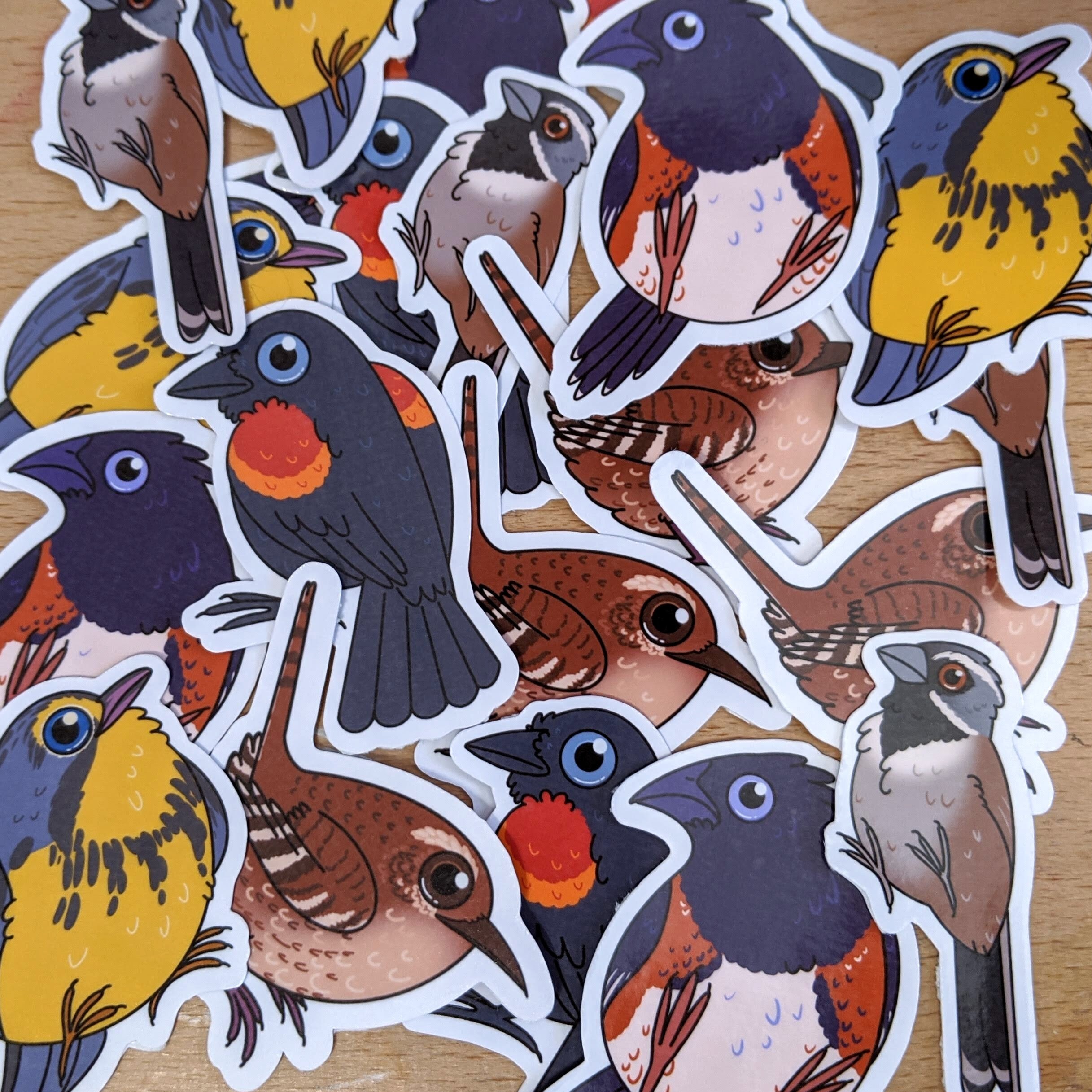 Songbirds Vinyl Stickers: Black Throated Sparrow, Canada Warbler ...
