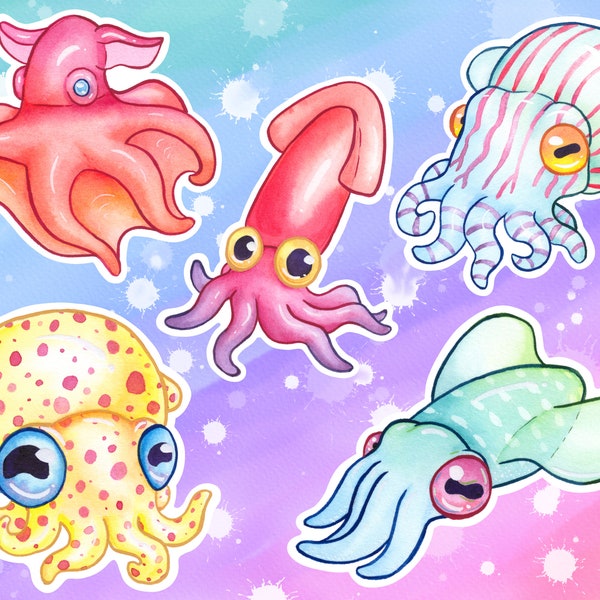 Rainbow Squid Vinyl Stickers/Decals: Bigfin Reef, Bobtail, Giant, Pyjama, and Vampire Squids Individuals and Sets