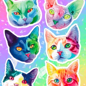 Rainbow Cat Faces Vinly Stickers Invidiviuals et Set