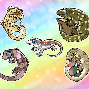 May include: A collection of five illustrated gecko stickers featuring various patterns and colours. The set includes a spotted yellow gecko, a dark green gecko on a log, a grey gecko with a red stripe, a brown patterned gecko, and a light tan gecko.