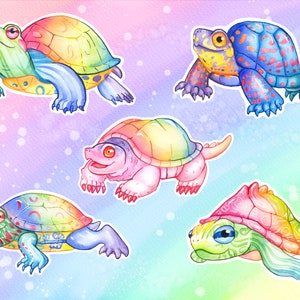 Autocollants / autocollants en vinyle des tortues arc-en-ciel: tortue-boîte de l’Est, tortue géographique, tortue peinte, curseur à oreilles rouges, tortue serpentine