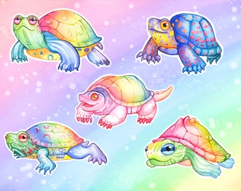 Rainbow Turtles Vinyl Stickers: Eastern Box, Map, Painted, Red-Eared Slider, Snapping Turtles