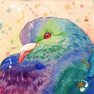 Watercolour on Wood Rainbow Domestic Pigeon or Rock Dove Print