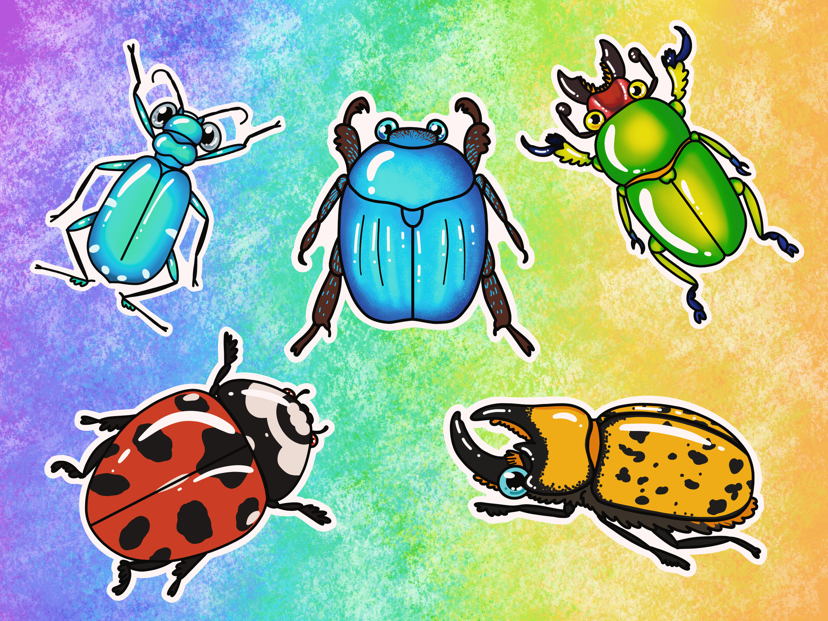 標本 France Hoplia coerulea set blue scarab beetle (Hoplia coerulea), male, Orleans, France