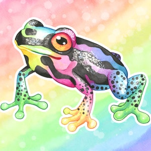Stickers vinyles rainette arc-en-ciel