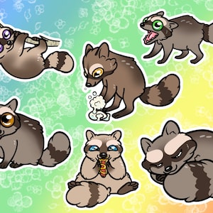 Raccoons Vinyl Stickers/Decals Individus et Ensembles
