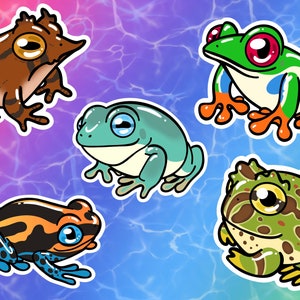 Stickers/autocollants en vinyle grenouilles : rainette de White, grenouille dard venimeux, grenouille aux yeux rouges, grenouille à cornes, grenouille feuille des Îles Salomon 2022