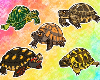 Tortoises Vinyl Stickers/Decals: Greek Tortoise, Hermann's Tortoise, Indian Star Tortoise, Red-Footed Tortoise, Russian Tortoise