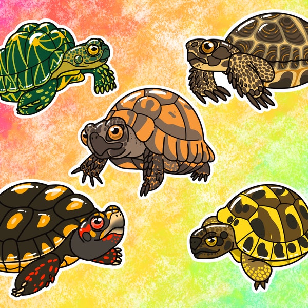 Tortoises Vinyl Stickers/Decals: Greek Tortoise, Hermann's Tortoise, Indian Star Tortoise, Red-Footed Tortoise, Russian Tortoise