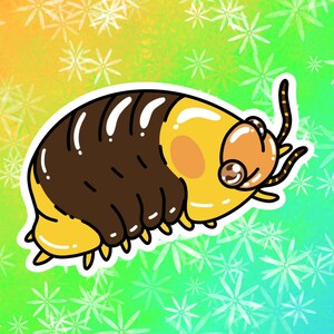 Isopods Vinyl Stickers/Decals: Clown, Dairy Cow, High Yellow, Rubber Ducky, and Zebra Isopods Individuals and Sets Rubber Ducky Isopod