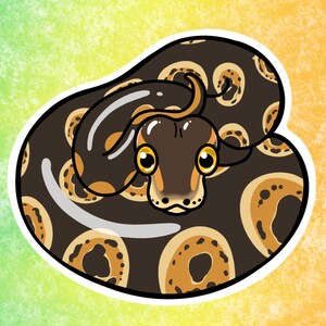 Snakes Vinyl Stickers/decals: Ball Python Black Rat Snake - Etsy