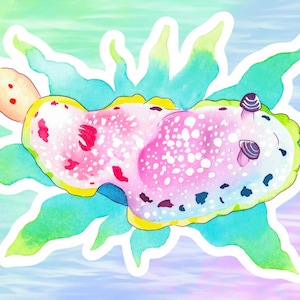 Rainbow Watercolor Style Nudibranch Sea Slug Vinyl Sticker / Decal