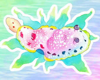 Rainbow Watercolor Style Nudibranch Sea Slug Vinyl Sticker/Decal