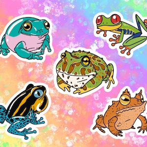 Stickers/autocollants en vinyle grenouilles : rainette de White, grenouille dard venimeux, grenouille aux yeux rouges, grenouille à cornes, grenouille feuille des Îles Salomon