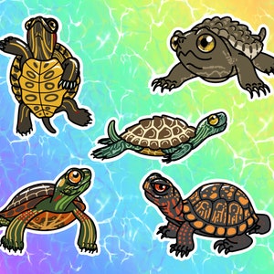Turtles Vinyl Stickers/Decals: Eastern Box Turtle, Map Turtle, Painted Turtle, Red-Eared Slider, Snapping Turtle