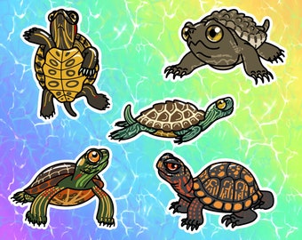 Stickers vinyles tortues, carte, peint, carte de l'est, curseur aux oreilles rouges, tortues serpentines