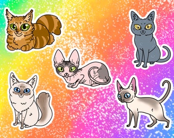 Purebred Cats Vinyl Stickers/Decals: British Shorthair, Maine Coon, Ragdoll, Sphynx, and Tonkanese Cats