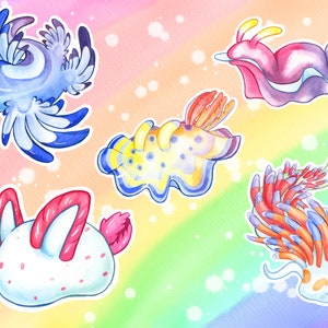 Rainbow Nudibranches Sea Slugs Vinyl Stickers/Decals: Blue Sea Dragon, Sea Bunny et Assortiment de limaces de mer en tant qu'individus ou ensemble