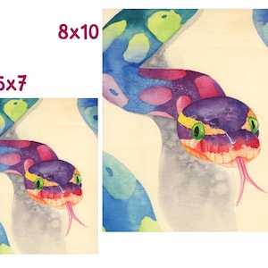 Peut inclure: Peinture &agrave; l'aquarelle d'un serpent avec une t&ecirc;te violette, des yeux verts et une langue rose. Le corps du serpent est bleu avec des taches roses et vertes. L'&oelig;uvre est disponible en formats 12,7x17,8 cm et 20,3x25,4 cm.