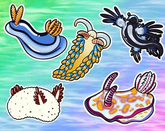 Nudibranches Sea Slugs Vinyl Stickers/Decals: Blue Sea Dragon, Sea Bunny, and Assorted Sea Slugs as Individuals or a Set