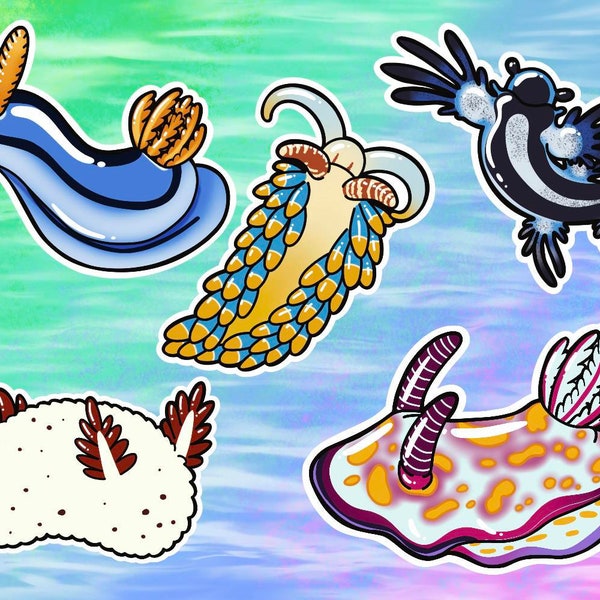 Nudibranches Sea Slugs Vinyl Stickers/Decals: Blue Sea Dragon, Sea Bunny, and Assorted Sea Slugs as Individuals or a Set