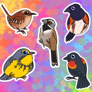 Autocollants en vinyle pour oiseaux chanteurs : Moineau à gorge noire, Paruline du Canada, Troglodyte d’hiver, Merle à ailes rouges, Towhee de l’Est
